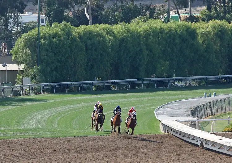 Santa Anita hillside turf course 2021