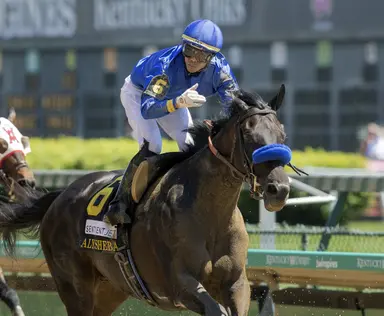 Maxfield, Essential Quality pack a powerful punch for Darley in freshman sire ranks