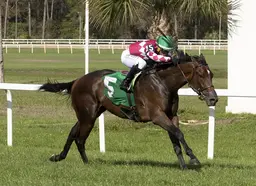 Casse makes the right call as Alpyland relishes the Tampa turf in Columbia