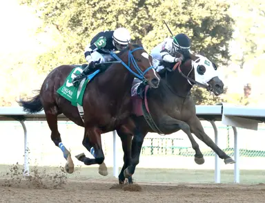 Will Take It rallies up rail to win Fifth Season by a head