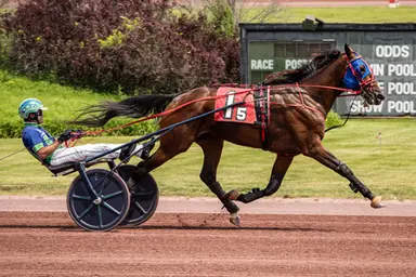 Pocono:  Endurance, Highland Destiny prevail in PA Sire Stakes
