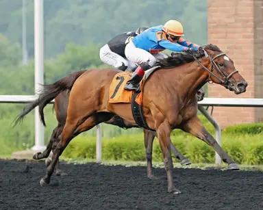 Justinqueso tries to regain best form in turf sprint