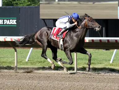 Geaux Rocket Ride breathes new life into Pin Oak Farm
