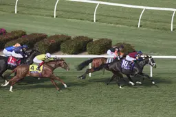 Breeders' Cup Juvenile Turf Sprint: Cy Fair a total pro, gives Weaver first BC win
