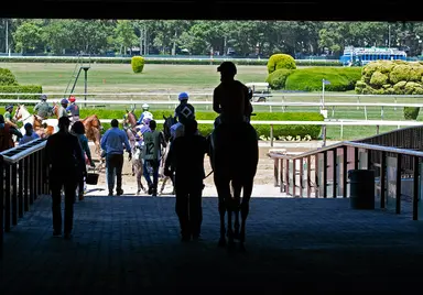 Belmont Analysis for Tuesday, July 4, 2023