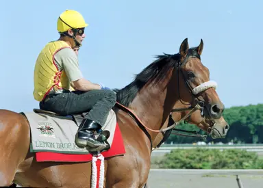 Belmont winner, prominent sire Lemon Drop Kid dies at 28