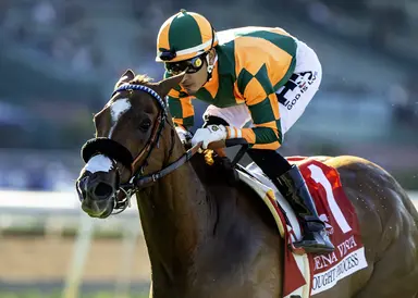 Quick work shows Thought Process is ready for Gamely