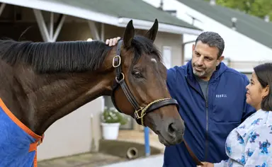 Repole buys seven horses at Japan sales