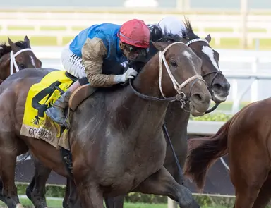 Commandment surges to Kentucky Derby driver's seat with Florida Derby triumph