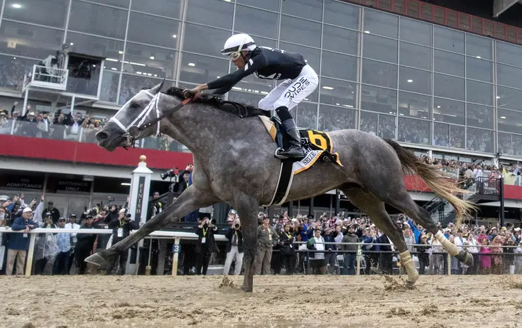 Seize the Grey wins the Preakness May 18 2024