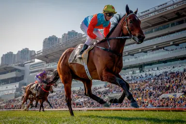 Ka Ying Rising draws unfamiliar barrier in G1 LONGINES Hong Kong Sprint