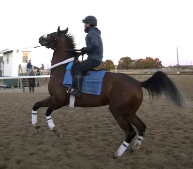 Japan: May Day Ready tries to make history in Hanshin Juvenile Fillies