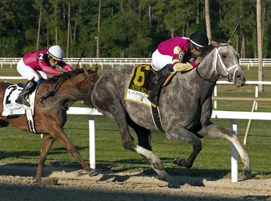 Blue Grass Stakes: Tapit Trice favored to take down a second Derby prep
