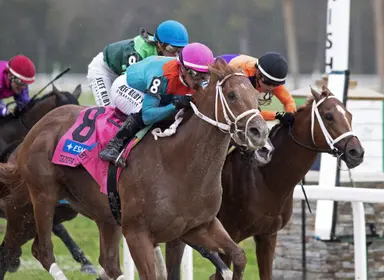 The Puma's Tampa Bay Derby Beyer adjusted again to 94