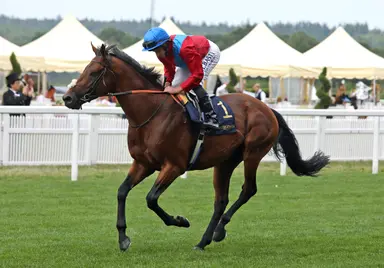 Royal Ascot: Inconsistent Luxembourg tepid favorite in Prince of Wales's