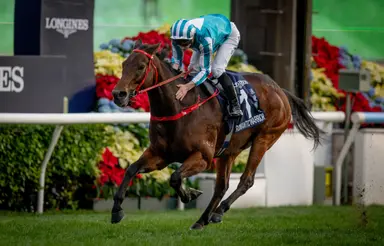 Hong Kong: Staying home, Romantic Warrior looks formidable as ever in Stewards' Cup