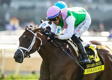 McCarthy has pair of winners as key races approach