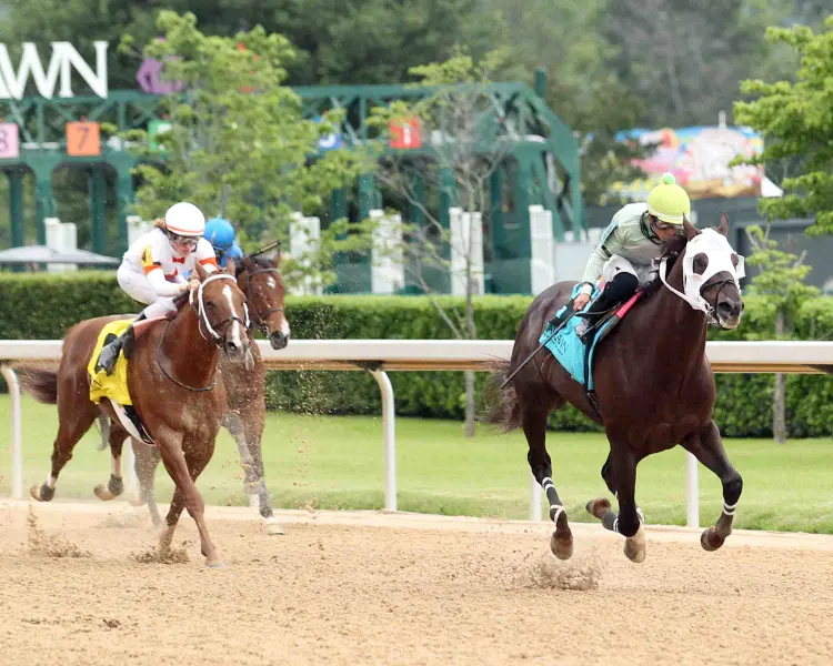 GOLD SWEEP - Lake Hamilton Stakes - 05-01-26 - R11 - Oaklawn Park - Finish 03- Natalie Moses.jpg