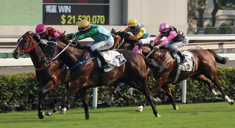 Rise High (No. 2) wins the 2019 Oriental Watch Sha Tin Trophy