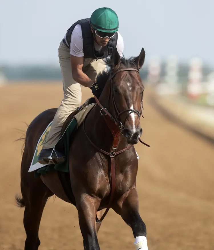 Bolt d'Oro trains at Keeneland May 2018