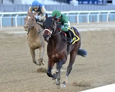 Kentucky Derby 2025: Captain Cook on his toes getting ready for Wood Memorial