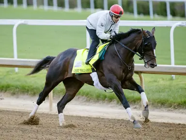 2026 Kentucky Derby Clocker: All aboard for Chief Wallabee after sensational work