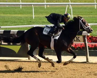 Belmont Stakes: Forte moves one step closer to getting off vet's list
