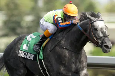 Frac Daddy leads Canadian 2-year-old sires in winners and money won