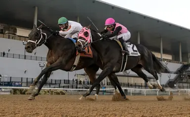 Westchester Stakes made to order for Bishops Bay