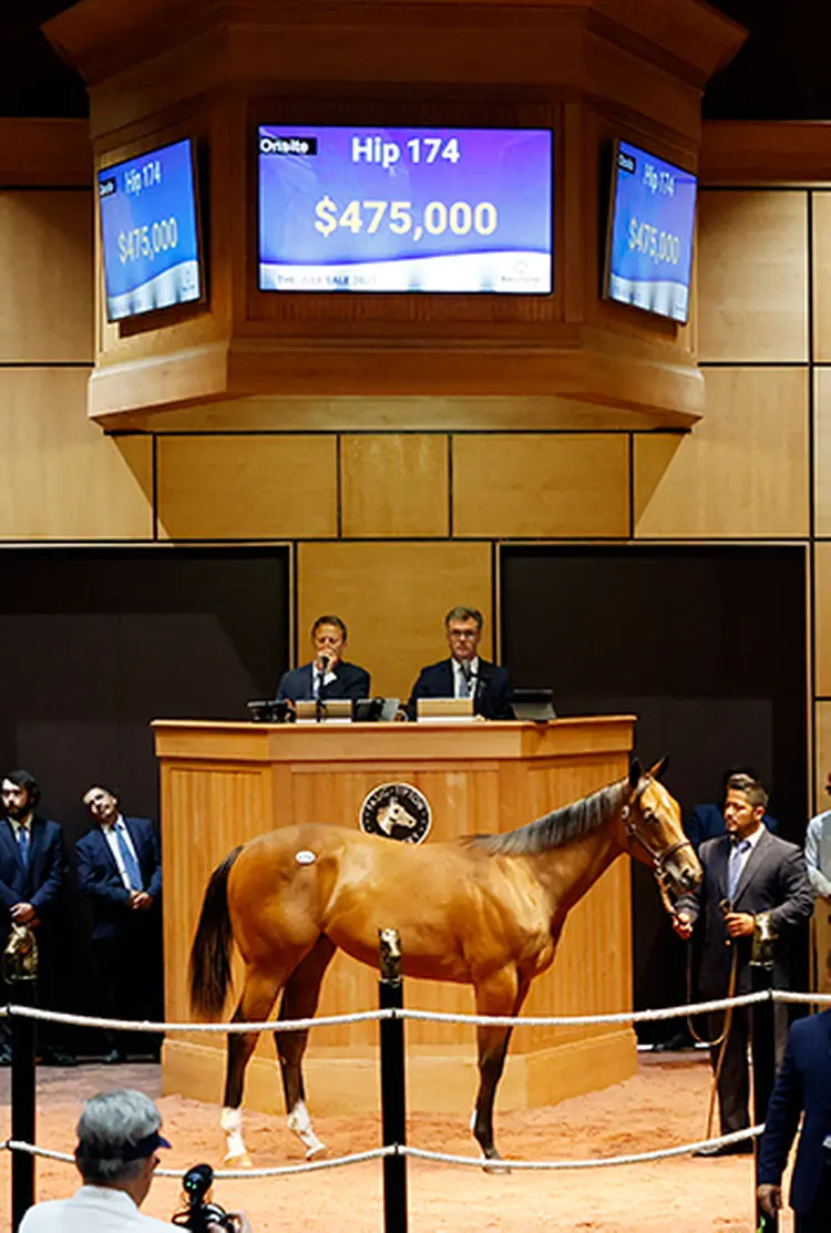 FTJulyYearling23saletopper.jpg