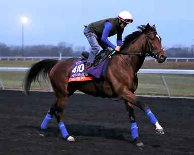 Nashwa takes on talented 3-year-old Blue Rose Cen in Nassau Stakes