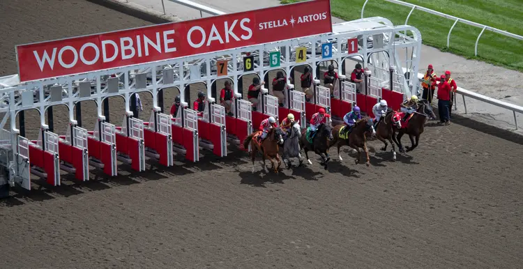 Woodbine Scenic01.07-20-24.JUW_.jpg