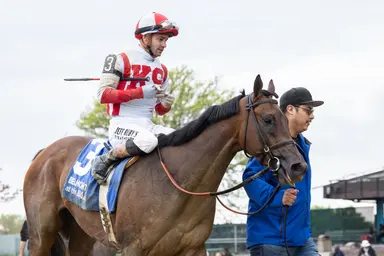 Growth Equity takes Peter Pan Stakes, Belmont entry possible