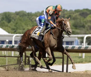 Peach Tie overwhelms rivals in stretch to take Miss Preakness