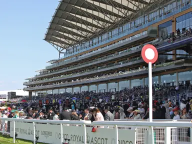 Royal Ascot 2025: Horse-by-horse guide: Prince Of Wales's Stakes