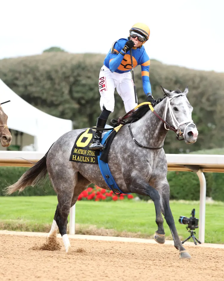 HAULIN ICE - Matron Stakes - 03-27-26 - R09 - Oaklawn Park - Celebration 04 - Hunter Fridley.jpg