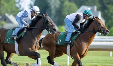 2024 Belmont Stakes Clocker: Resilience turns in solid half-mile breeze