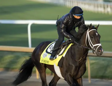 Preakness Stakes Future Bet opens Friday