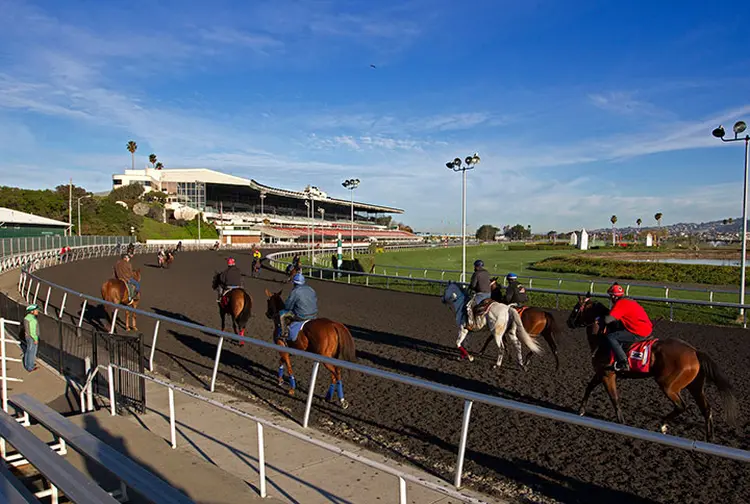 Golden Gate Fields training, 2015