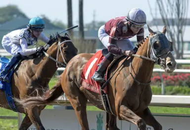 Weekend GamePlan: Picks for Oaklawn Handicap, Danger's Hour, King T. Leatherbury