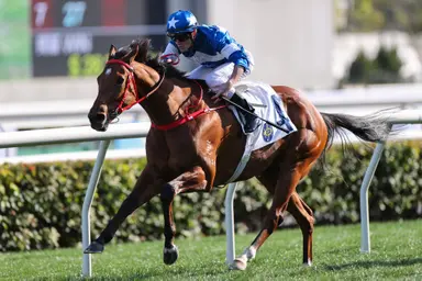 Star absence presents Sha Tin Vase opportunity; Chateauneuf faces wide challenge