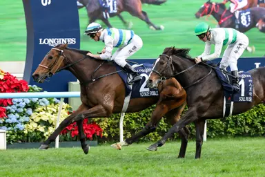 Voyage Bubble steps out of the shadows with heroic LONGINES Hong Kong Mile repeat