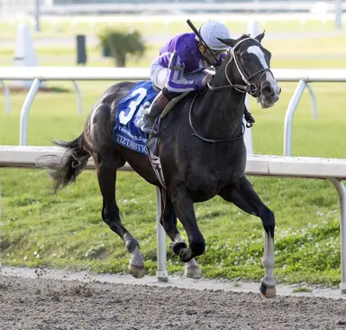 Kentucky Derby: Who's hot, who's not for March 26, 2025