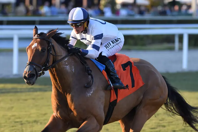 Moon Spun the Ladies Turf Sprint credit Ryan Thompson2.jpg