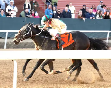 Asmussens hold the cards in two races