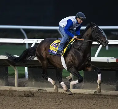 Mott says Sovereignty looks good day after runner-up finish in Oaklawn Handicap