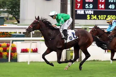 Matthew Poon celebrates birthday with Sha Tin double, Panasonic Cup