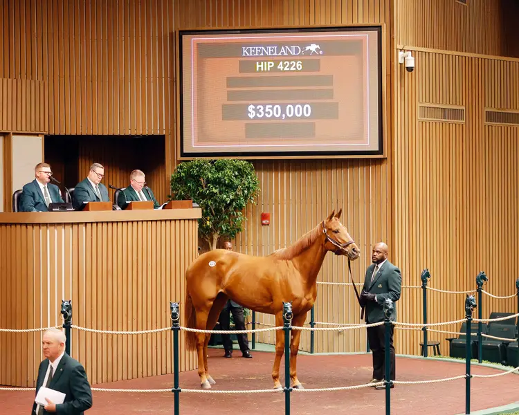 Keeneland November HORA Double Dream.jpg