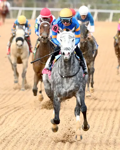 Haulin Ice could shift to turf for Unbridled Sidney