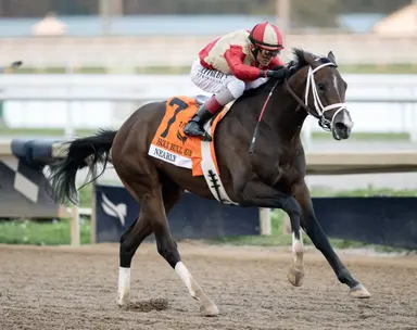 Florida Derby contender Nearly has a backstory that befits his name